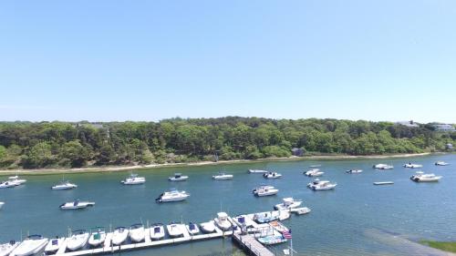 Фотография гостевого дома A Chatham Pearl on Oyster River