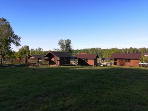 Фотография базы отдыха Алтайское раздолье