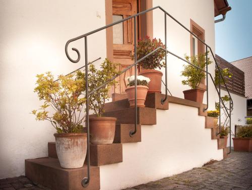 Фотография гостевого дома Ferienhaus am Künstleratelier