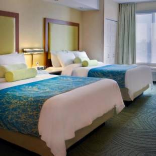Фотографии гостиницы 
            SpringHill Suites by Marriott Syracuse Carrier Circle