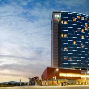 Фотография гостиницы Sono Calm Goyang