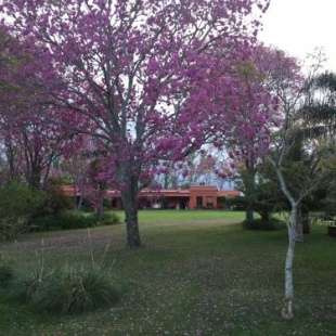 Фотография гостевого дома Estancia La violeta