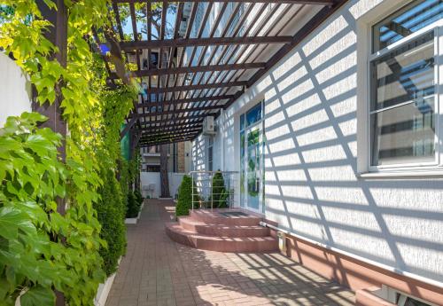 Фотографии гостевого дома
Абрикос Плюс