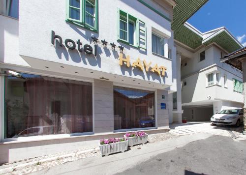 Фотография гостиницы Hotel Hayat