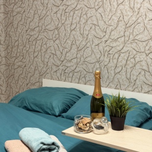 Фотография квартиры Квартира Уютная 1 Амурский Проезд 9к1