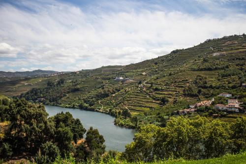 Фотографии гостевого дома
DouroParadise