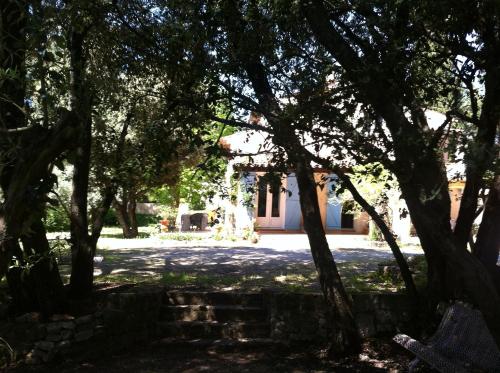 Фотография мини отеля B&B Le Niaouli