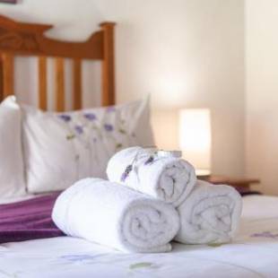 Фотографии мини отеля
Leo Guest House