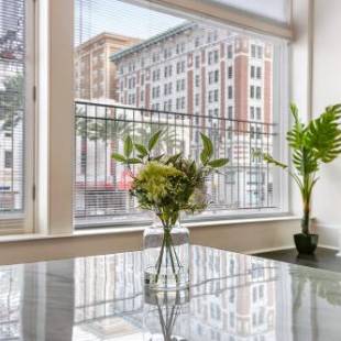 Фотография гостиницы 1 and 2 BR Luxury Condos Steps Away From French Quarter