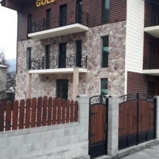 Фотография гостиницы Gold Tower