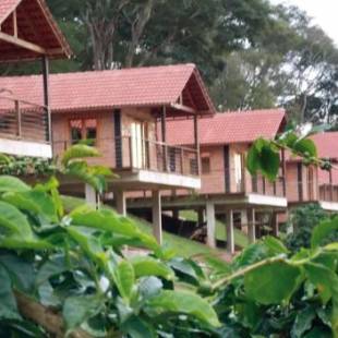 Фотографии гостиницы 
            Pousada Café da Mata