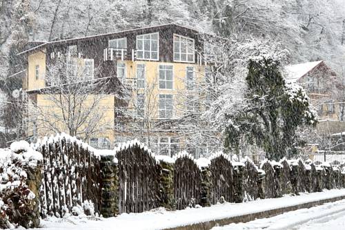 Фотография гостиницы Романовский