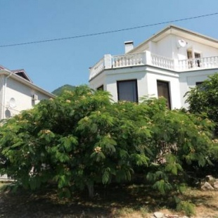 Фотография гостевого дома Вилла де Ольга