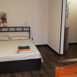 Фотография квартиры Апартаменты Энгельса 69А