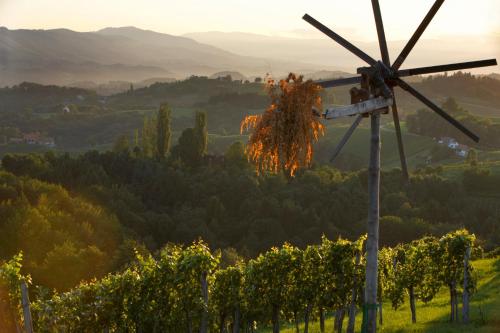 Фотография гостиницы das MEISTER