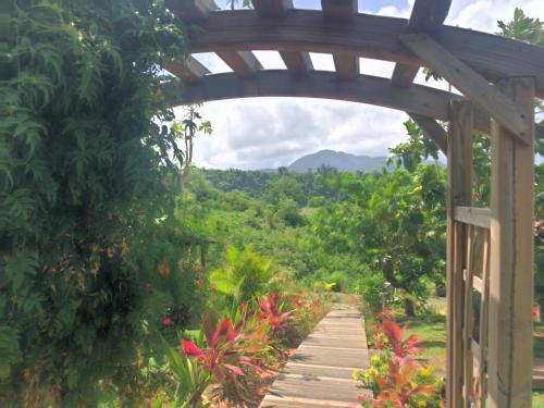 Фотография апарт отеля Paradis Tropical appart'hotel