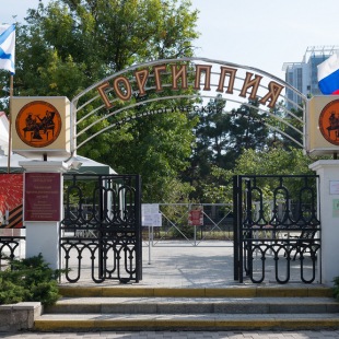 Фотография музея Археологический музей Горгиппия