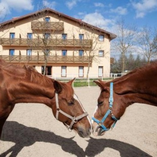 Фотография гостиницы Hotel Panska Licha