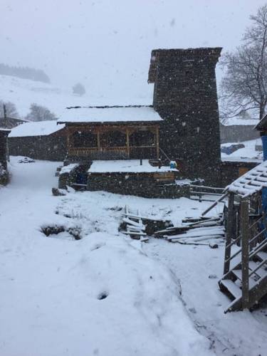Фотография гостевого дома Guesthouse Tushuri Koshki