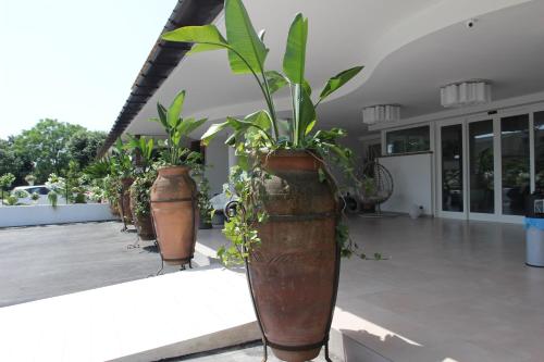 Фотография гостиницы Love & Fama Hotel