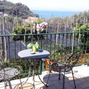 Фотографии базы отдыха
Agriturismo La Lobra