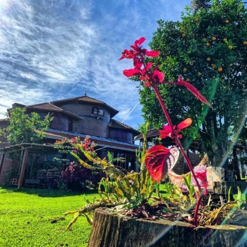 Фотография гостевого дома Recanto das Pipas - Hospedagem Diferenciada