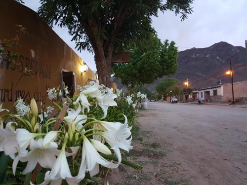 Фотография мини отеля Cardones de Molinos