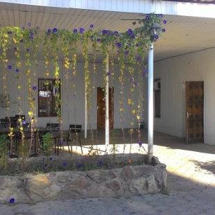 Фотография мини отеля Марина