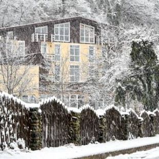 Фотография гостиницы Романовский