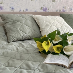 Фотография квартиры Квартира ТутУютно на Волотовской «Нежный Ирис»