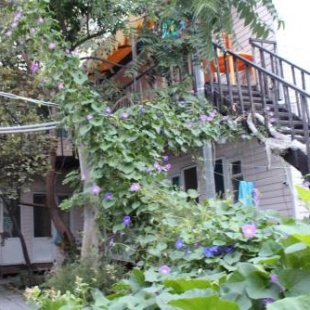 Фотография гостевого дома У лукоморья