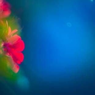 Фотографии гостевого дома 
            Dimora La Grazia