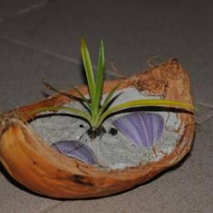 Фотографии гостевого дома
Dhangethi INN