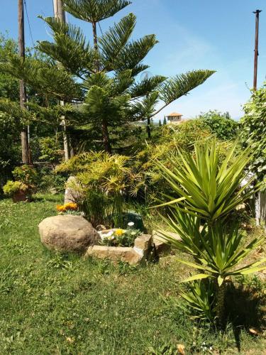 Фотография мини отеля B&B Parco del Lago