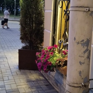 Фотография хостела Казачок