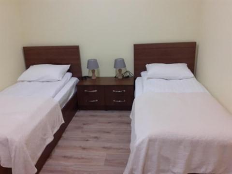 Фотографии гостиницы 
            SAYAT Nova