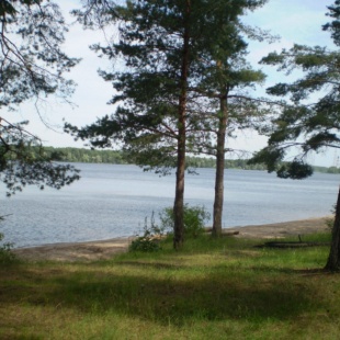 Фотография достопримечательности Конаковский бор