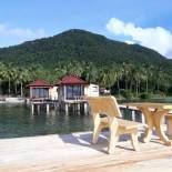 Фотография мини отеля Banana Homestay