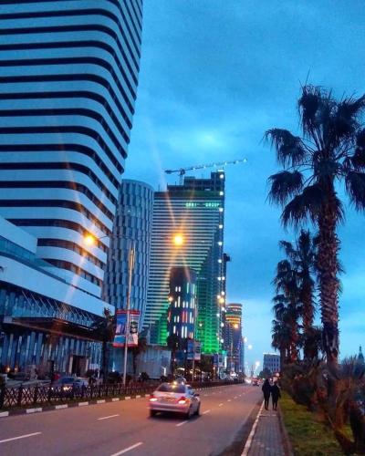 Фотография гостиницы Twin Towers Batumi