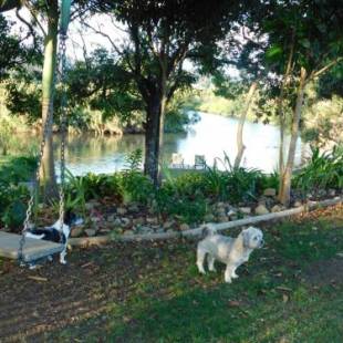 Фотографии гостевого дома
Riverbend Cottage Cabin at Little Heaven