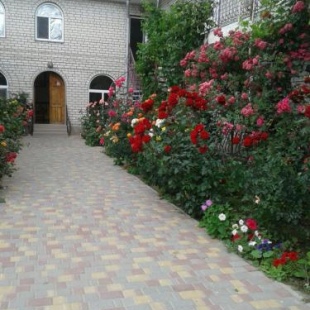 Фотография пансионата Людмила