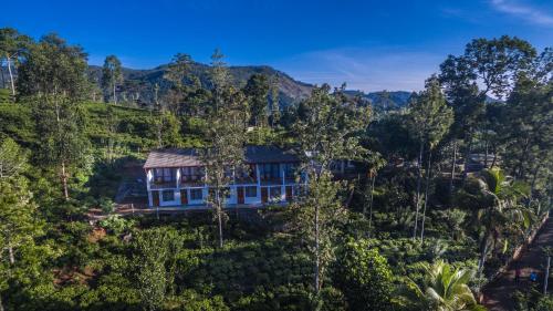 Фотография гостиницы The Tea Tree Resort