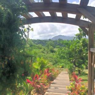 Фотографии апарт отеля 
            Paradis Tropical appart'hotel