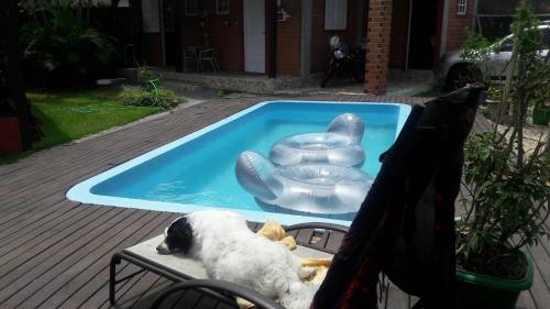 Фотография мини отеля Pousada ZAUA GUEST HOUSE