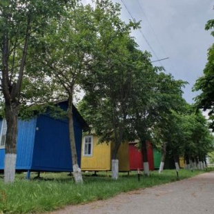 Фотография базы отдыха Хуторок Дофиновка