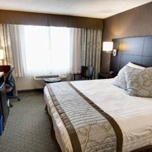 Фотографии гостиницы
Rodd Royalty