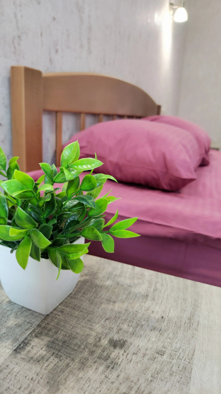 Фотография квартиры Квартира Евро двушка щепкинский лес