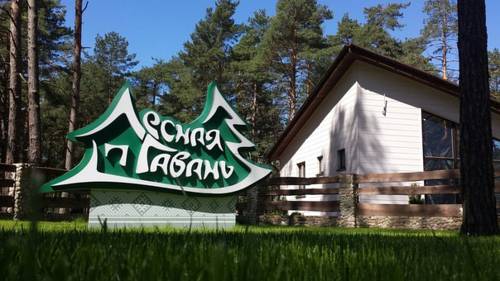 Фотографии гостиницы
Лесная гавань