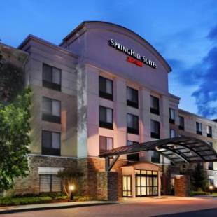 Фотографии гостиницы 
            SpringHill Suites Knoxville At Turkey Creek