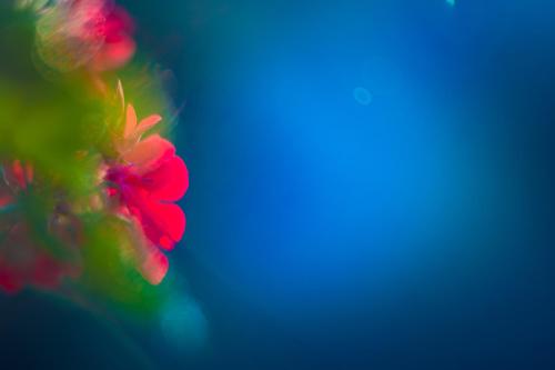 Фотография гостевого дома Dimora La Grazia